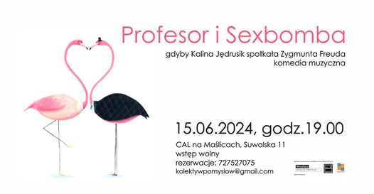 Profesor i Sexbomba